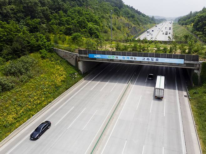 호남선의 육교형 생태통로. 한국도로공사 제공