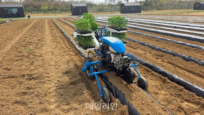 고추 정식기 2차 시작기. ⓒ농촌진흥청