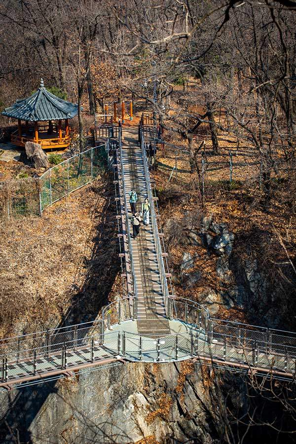 도덕산 출렁다리. 예상보다 웅장한 규모에 놀랐다. 다리 입구로 들어와 왼쪽 길을 택하면 도덕산 정상으로 갈 수 있다.