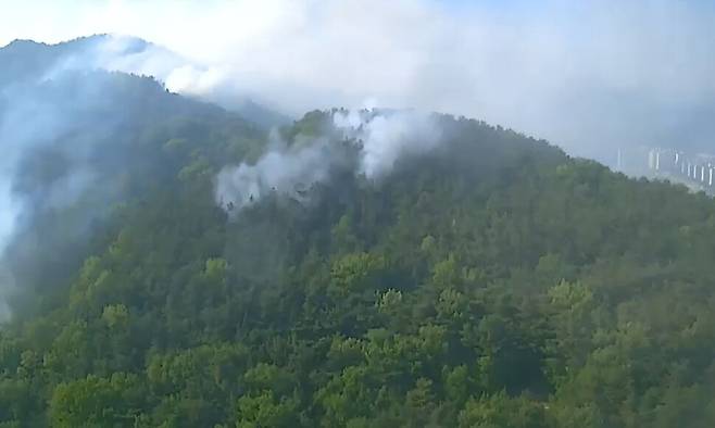 진화됐다 재발화한 대구 함지산 산불. 산림청 제공