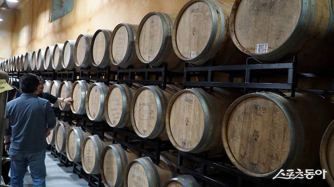 예산 은성농원의 사과술 시드르와 칼바도스 숙성고. 스페인산 올로로소 셰리오크통 등에 이곳에서 발효하고 증료한 사과술을 담아 숙성, 보관하고 있다 충남|김재범 기자 oldfield@donga.com