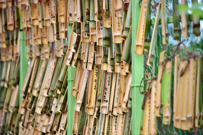 담양대나무축제 소원패/ 사진-담양군