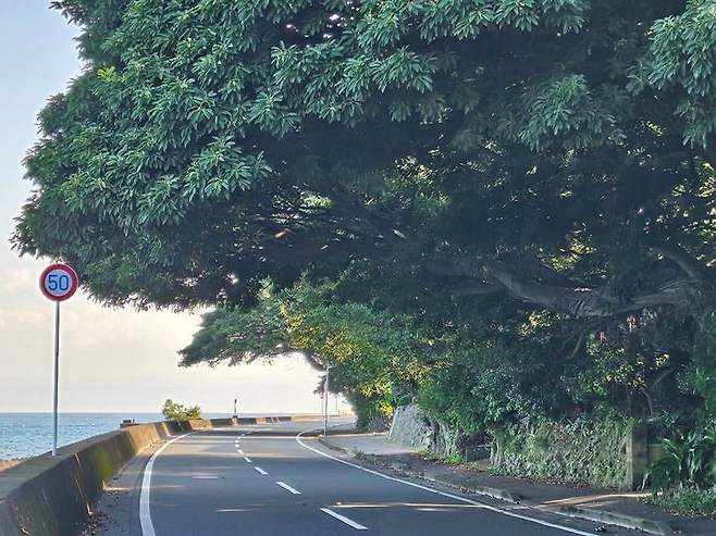 28b9d932da836ff23be68fe34084706dd550c9905e2abab81293ec1e56d04cf2ecf6e3