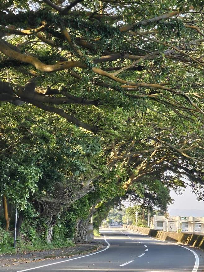 3fb8c32fffd711ab6fb8d38a4787766dae91ce26941de565a96b13a75681433d1393be20b7acdcdd610d07197ce6