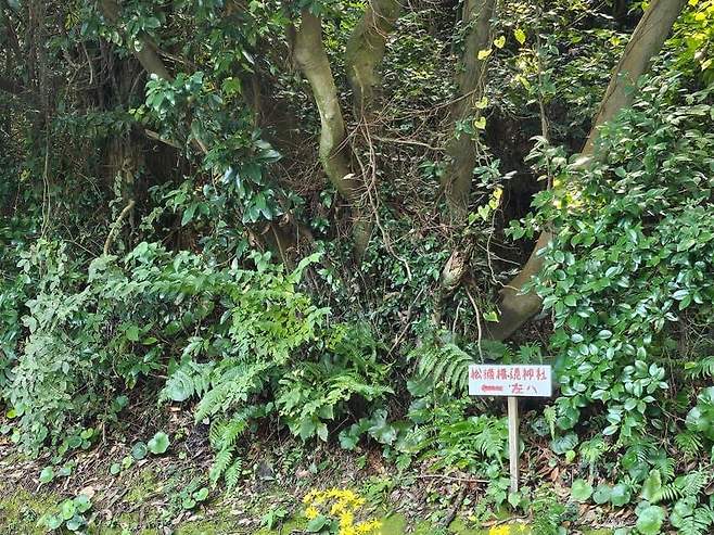 28b9d932da836ff23be68fe34e87746c34205e8b5e327f8a6981640d68bebdbcb68440