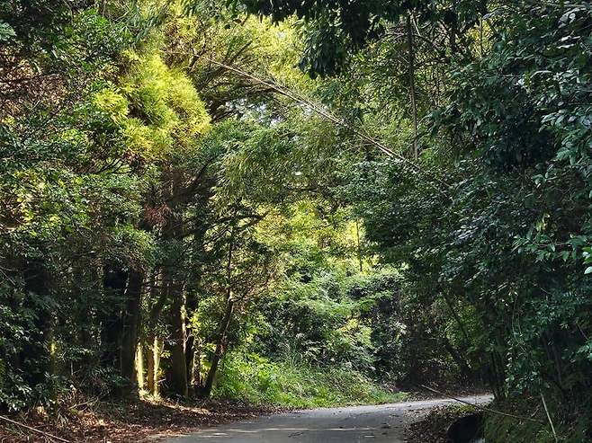 28b9d932da836ff23be68fe34e86756d3769d66fcc31e948fe61650bb1ebe443b882bb