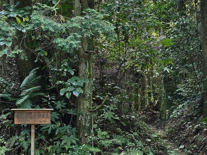 28b9d932da836ff238ee86ec43867c69a629c958776194dc7b4f73947278e759bd17ef