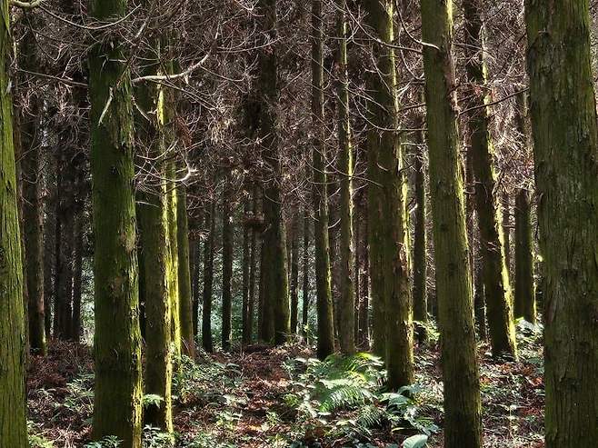 28b9d932da836ff23be68fe34e89746e65e62927be14f0a4aad3421730c70e3055380f