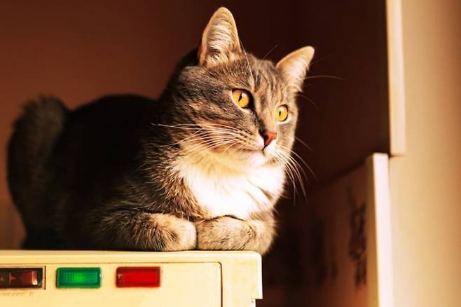 /사진=게티이미지뱅크