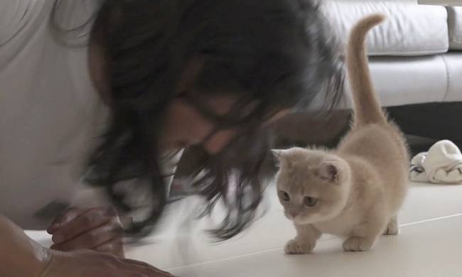 MBC ‘나 혼자 산다’ 제공