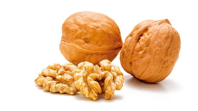 사진=게티이미지코리아.