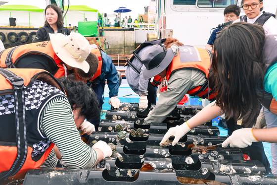 지난해 5월 전남 완도군에서 열린 ‘장보고 수산물축제’ 현장에서 방문객들이 전복따기 체험을 하고 있다. 사진 완도군
