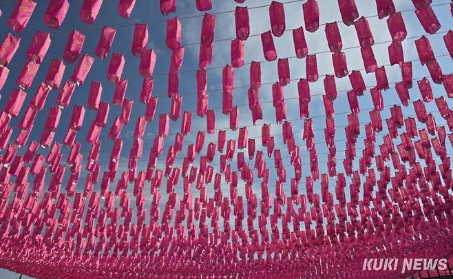 부처님오신날을 사흘 앞둔 3일 강원 춘천시 현지사에 화려한 봉축등이 설치되어 있다.