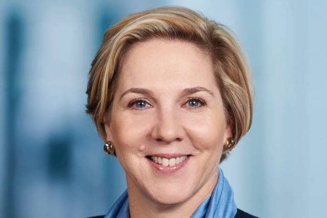 로빈 덴홈 테슬라 이사회 의장.