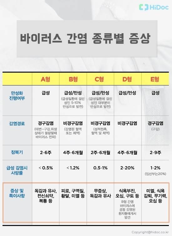 간염의 종류와 증상|출처: 하이닥