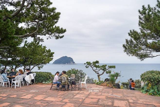 7247bf09437ed4fb8a0167a43dbb0a30.jpg 제주 가성비 여행 방법 - 서귀포편 펌) 제주도 여행 가성비로 가는 법 (서귀포)