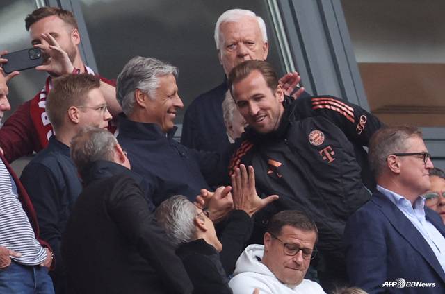 관중석에서경기를 지켜보는 해리 케인(오른쪽). /AFPBBNews=뉴스1