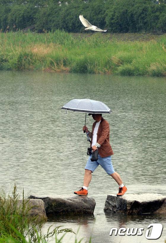 우산 쓴 행인. (재판매 및 DB금지)/뉴스1
