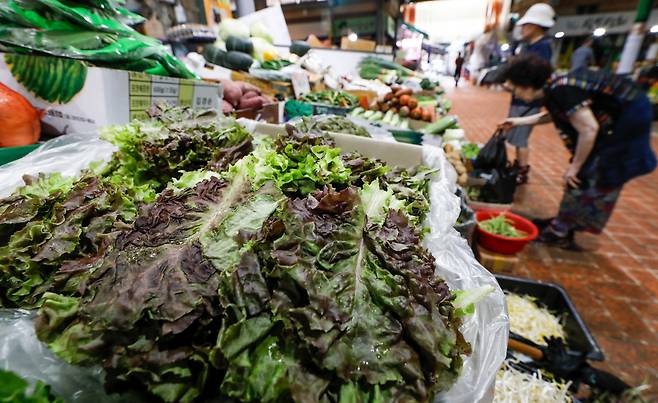 서울 시내 한 재래시장에서 시민들이 채소류를 살펴보는 모습. 기사와 관련 없음./뉴스1