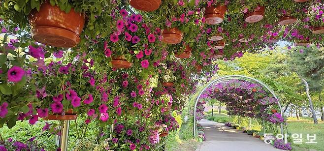영화 ‘마담 프루스트의 비밀정원’이 절로 떠오르는 분위기. 고양=김선미 기자 kimsunmi@donga.com