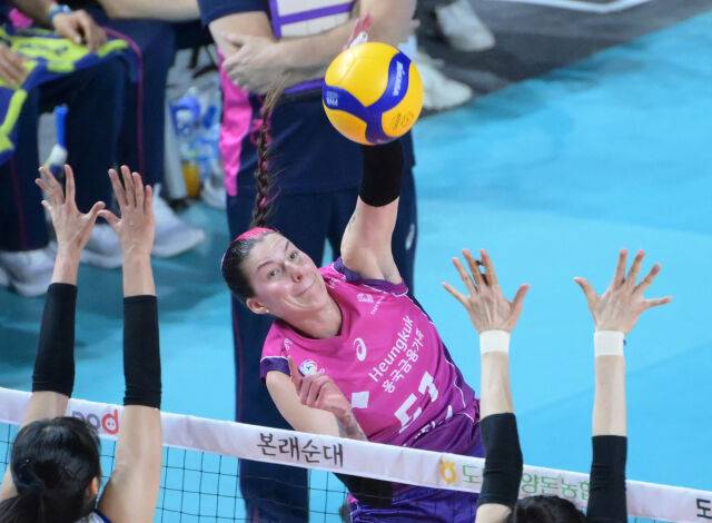 윌로우 존슨./KOVO