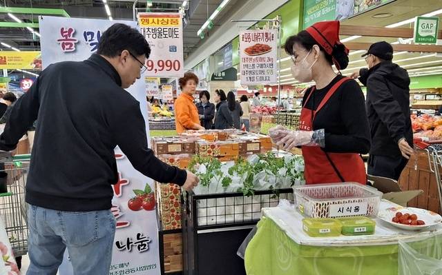 농협하나로마트 경기 고양점에서 한 소비자가 대추방울토마토를 구매한 뒤 증정용 방울토마토 모종을 고르고 있다. 농협경제지주