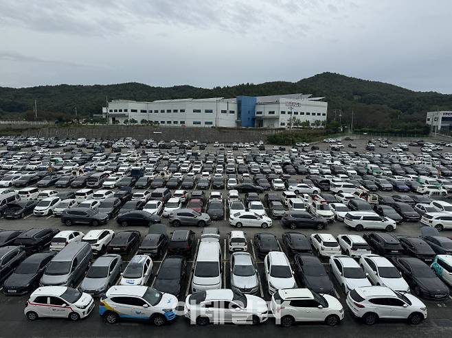 경기 안성 롯데오토옥션 주차장에 주차된 경매 차량들.(사진=공지유 기자)
