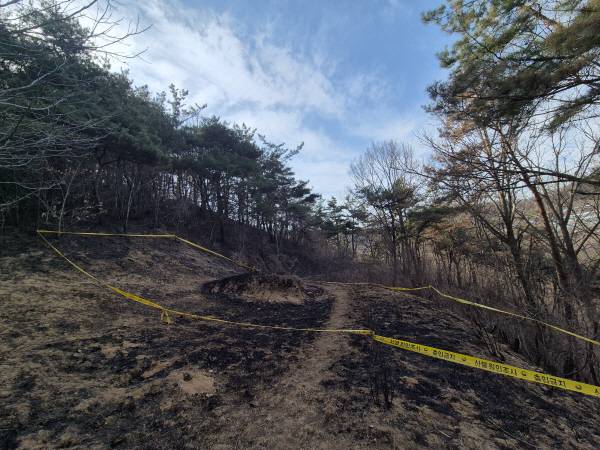 ‘경북 산불 최초 발화 추정 지점’. 연합뉴스