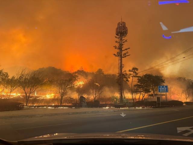 ▲지난 3월 25일 당시 의성군 점곡면 사촌리 일대가 화염에 휩싸인 모습. ⓒ최기철(사촌1리 주민)