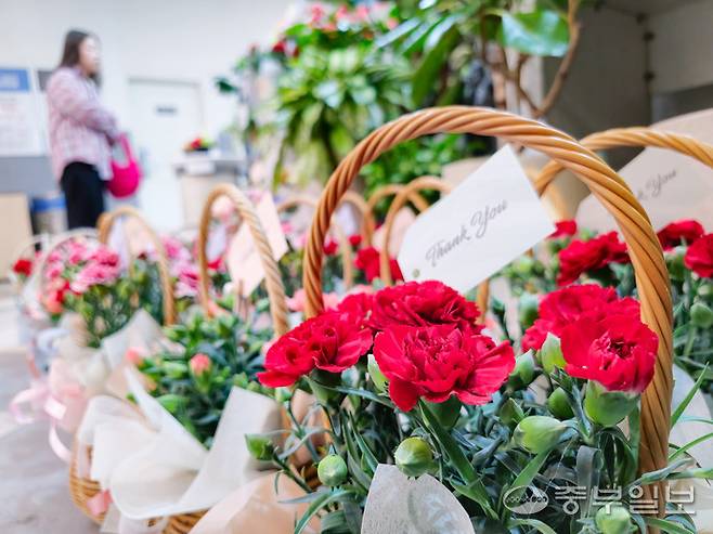 최근 카네이션 등 화훼류 비대면 거래가 활성화되면서 원산지 표시 위반 사례도 늘어난 가운데 7일 오전 수원시 내 한 꽃집에 카네이션 화분들이 놓여 있다. 임채운기자