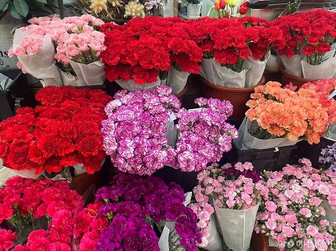 7일 오전 서울 서초구 양재꽃시장에 카네이션이 진열된 모습./사진=이현수 기자.