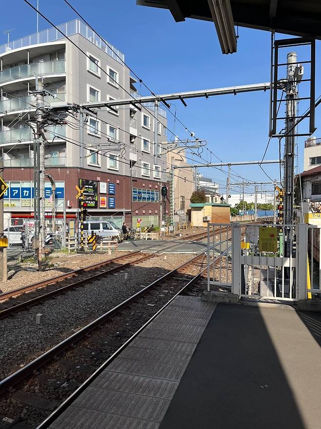 KakaoTalk_20250508_150946415_12.jpg 골든위크에서 살아남기 -3