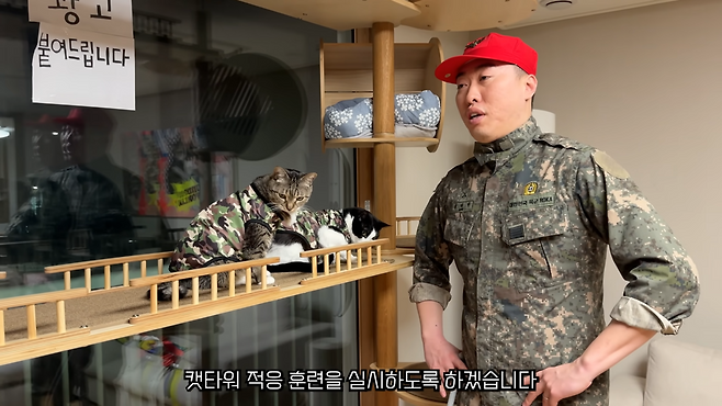 코미디언 송하빈씨가 운영하는 유튜브 채널 언더월드의 한 장면. 왼쪽에 고양이 춘봉이와 첨지가 있다.