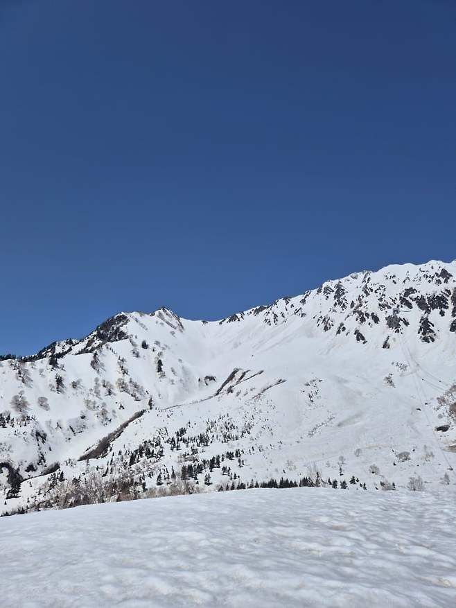 3fb8c32fffd711ab6fb8d38a4183746f6447022c8db4452387b168816e8aa31436a7b6955703fde86ed0e3077c