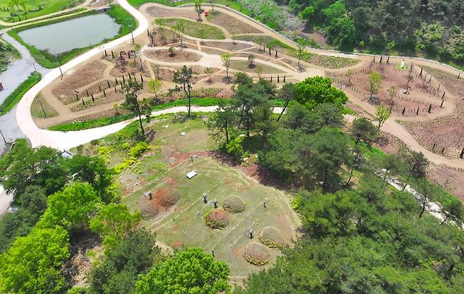 화순군수 외가 문중 땅에 조성된 꽃단지 (화순=연합뉴스) 천정인 기자 = 11일 전남 화순군 춘양면 대신리 일대 관광 꽃단지가 조성돼 있다. 해당 부지는 구복규 현 화순군수의 외가 문중 땅으로 알려지면서 특혜 의혹이 일었다. 2025.5.11 iny@yna.co.kr