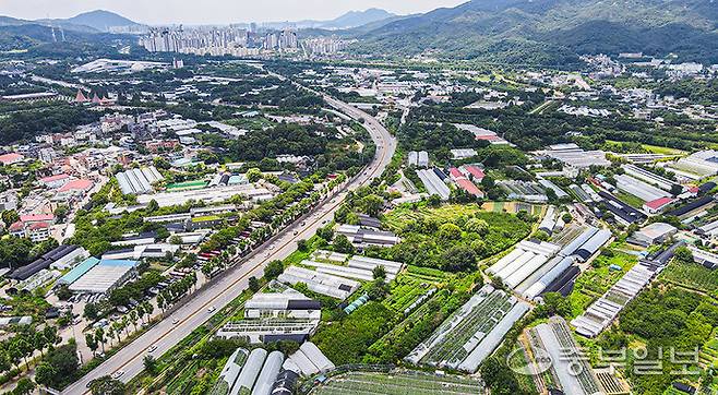 과천시 공공주택지구의 모습. 중부포토DB