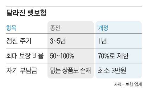 그래픽=조선디자인랩 김영재