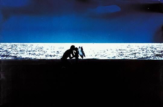 황규태, '빛나는 바다', 198.5×298, 컬러 네거티브 프린트, 2003.