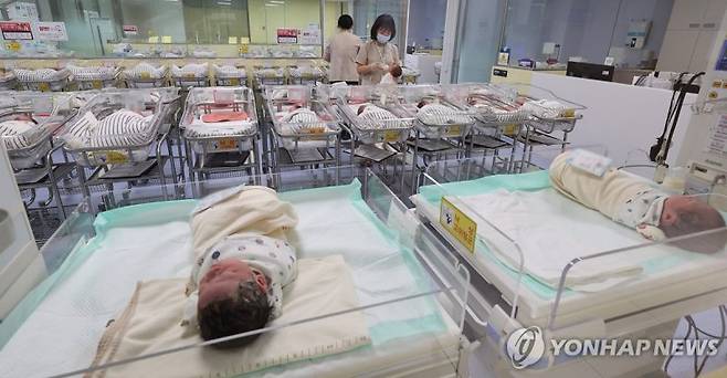 /사진=연합뉴스