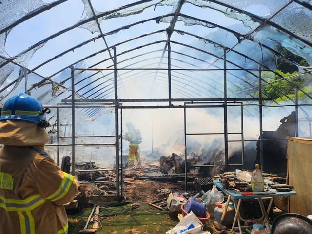 ▲ 12일 오전 11시 46분쯤 정선군 남평리의 한 농업용 비닐하우스에서 불이나 비닐하우스 약 50평과 기자재가 불에 탔다. 강원소방본부 제공