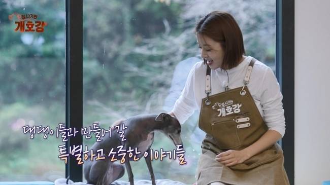 사진=JTBC ‘집 나가면 개호강’
