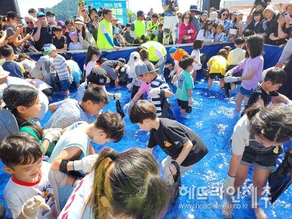 지난해 열린 제20회 보목자리돔 축제. (사진=서귀포시)
