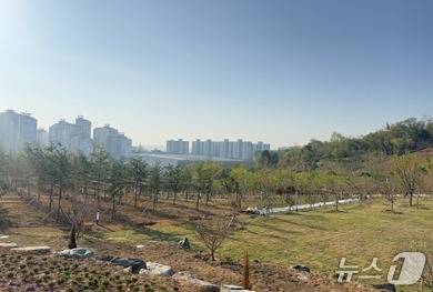군산시 수송동 새들공원 내에 조성된 '새들허브숲'(군산시 제공, 재판매 및 DB금지)
