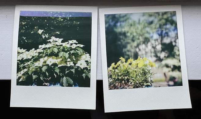 0490f719b28669f020b5c6b236ef203efcd5d443943fc069e6