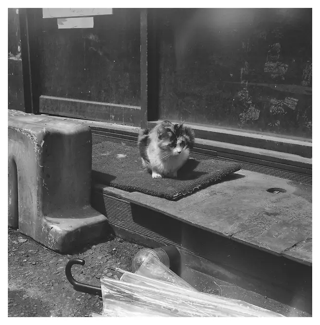 7eeb887fb58268f020a8d3b706f11a39ed859736f05a4d858889