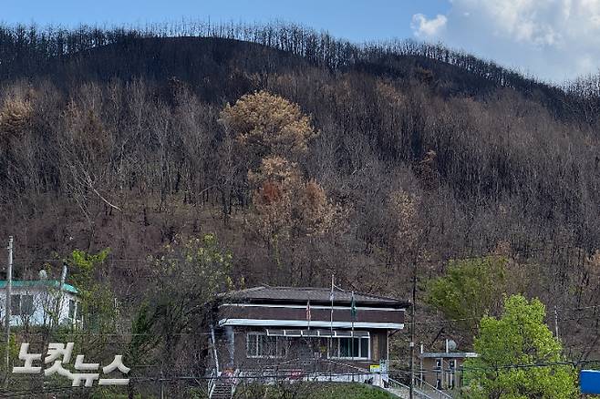 화재로 타버린 산과 인접한 곳에 위치한 안동시 남선면 도로리 마을회관. 이우섭 기자