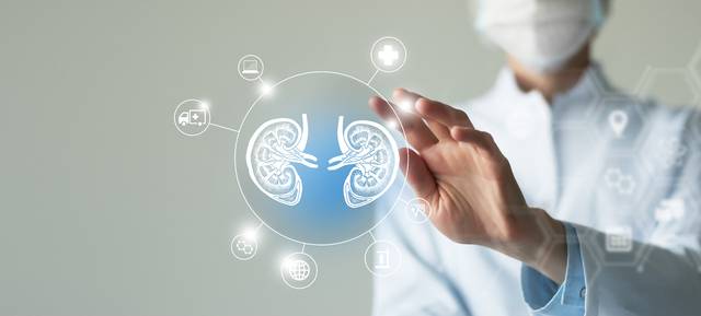 당뇨병 콩팥병은 초기 증상이 없고 제대로 관리하지 않을 경우 치명적일 수 있어 주의가 필요하다. 사진은 기사의 특정 사실과 관련 없음. 게티이미지뱅크