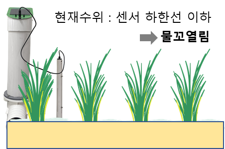 단순형 자동 물꼬의 수위 자동 제어 모습. 농촌진흥청