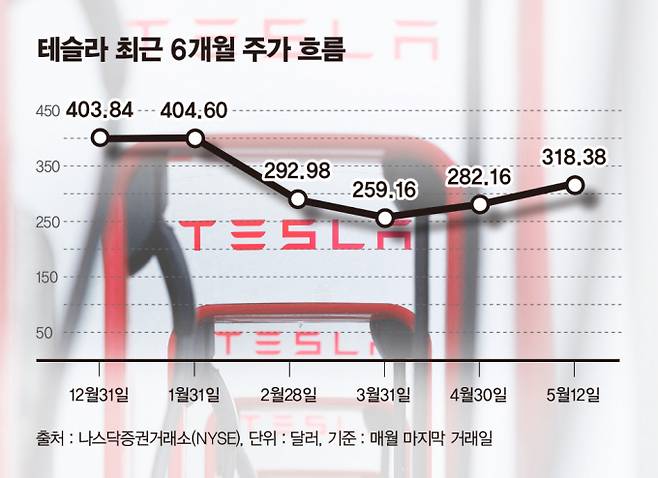 사진은 최근 6개월 테슬라 주가 흐름. /사진=김은옥 기자