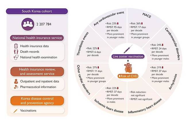 사진은 관련 연구 모식도. (사진=경희대 제공) *재판매 및 DB 금지